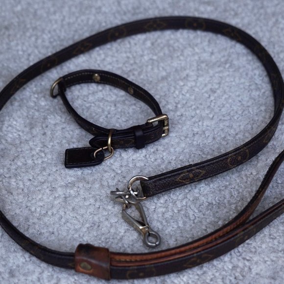 Authentic Louis Vuitton Dog Head Collar with Matching Leash - Small dogs - Picture 14 of 15